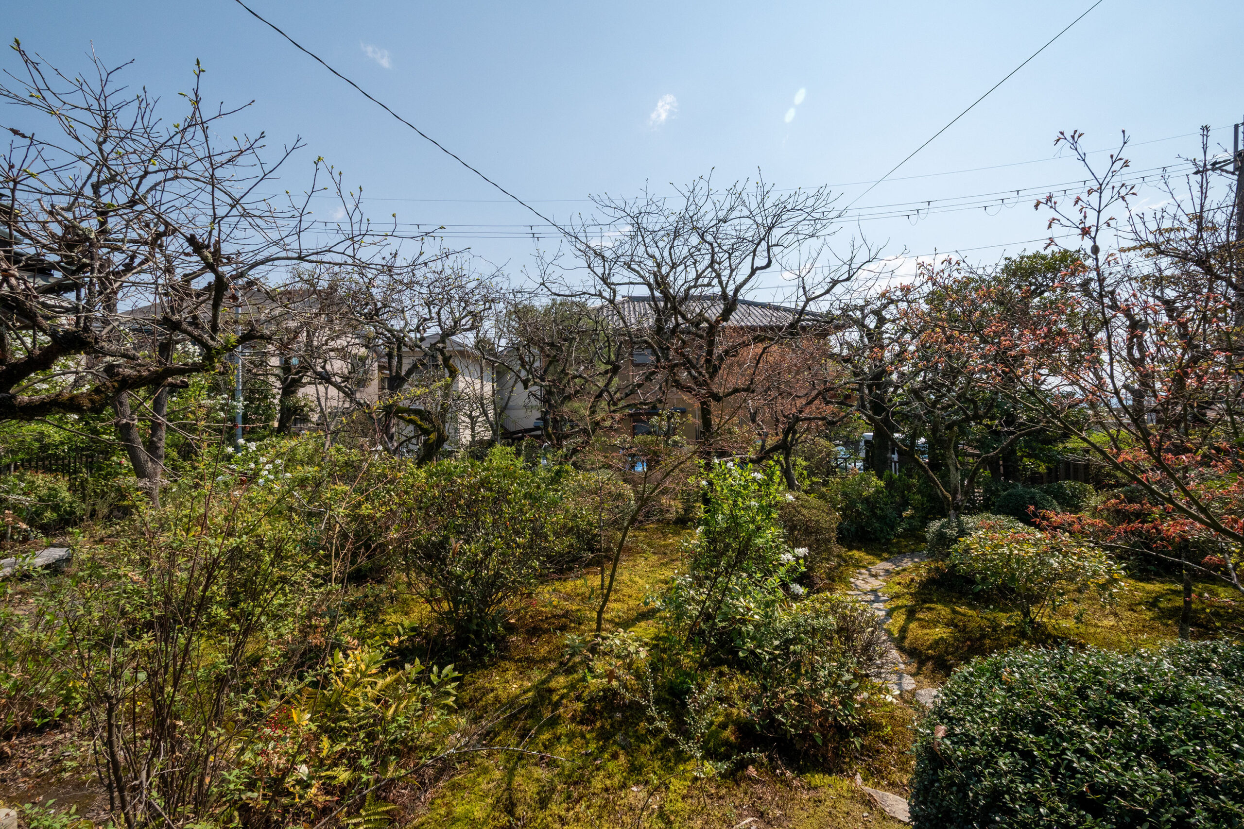 Immeuble — Ukyō, Kyoto