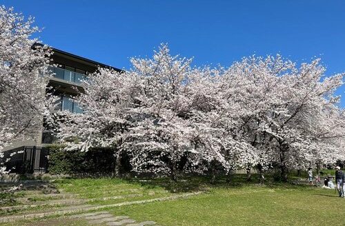 Condo Apartment near Kamogawa River, The Parkhouse Kyoto Kamogawa Goshohigashi, on 1st Floor